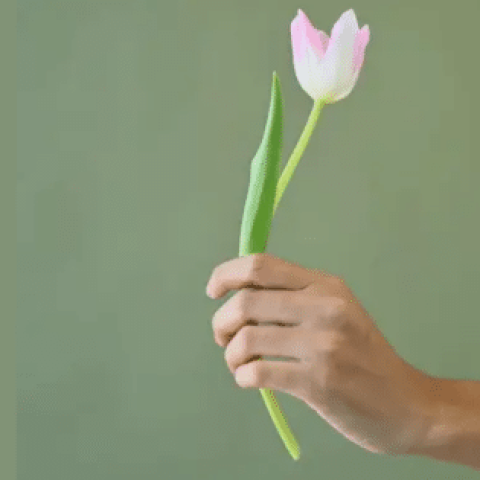 TERAPEUTA FLORAL